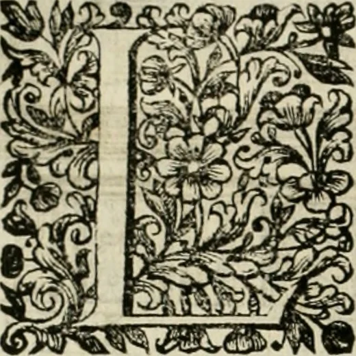 An illustration from Dell'idea della architettura universale, 1714, leaf 503