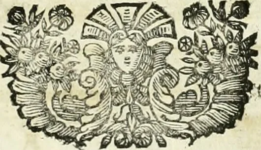 An illustration from Dell'idea della architettura universale, 1714, leaf 506