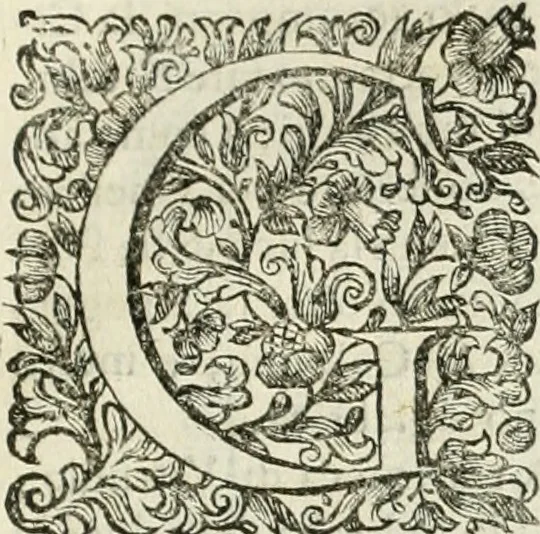 An illustration from Dell'idea della architettura universale, 1714, leaf 510