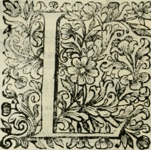 An illustration from Dell'idea della architettura universale, 1714, leaf 519