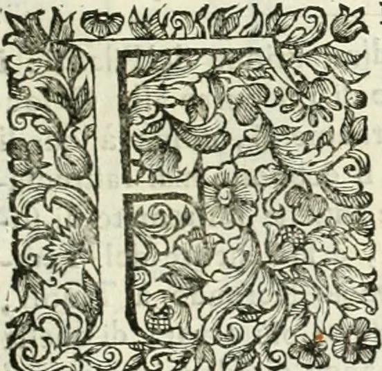 An illustration from Dell'idea della architettura universale, 1714, leaf 528