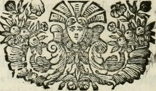 An illustration from Dell'idea della architettura universale, 1714, leaf 529