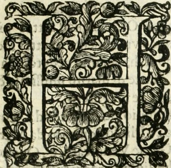 An illustration from Dell'idea della architettura universale, 1714, leaf 542