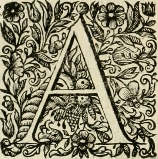 An illustration from Dell'idea della architettura universale, 1714, leaf 545