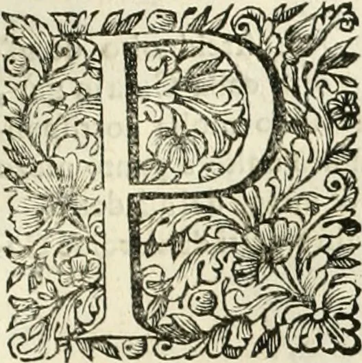 An illustration from Dell'idea della architettura universale, 1714, leaf 556