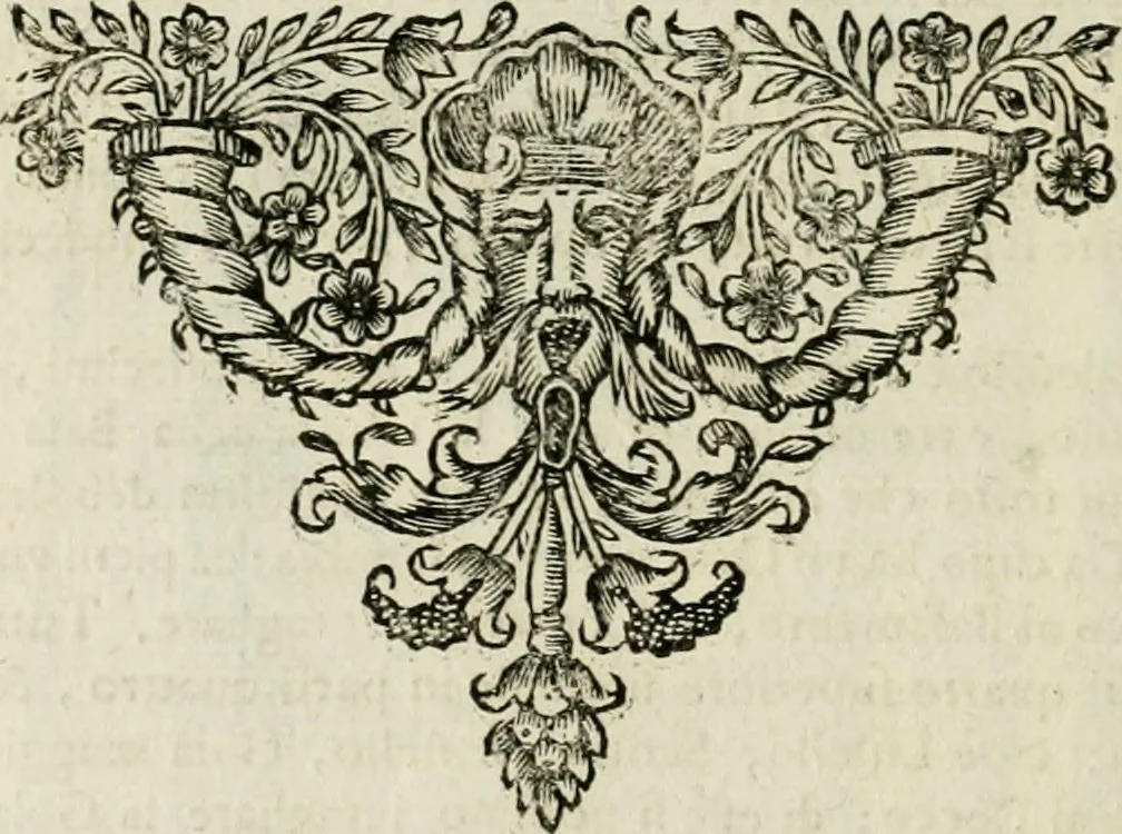 An illustration from Dell'idea della architettura universale, 1714, leaf 557