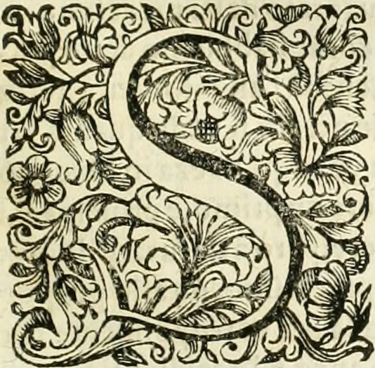An illustration from Dell'idea della architettura universale, 1714, leaf 56