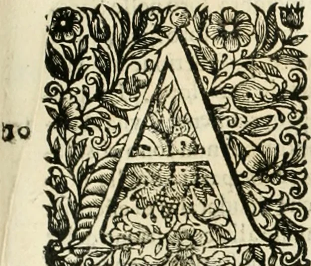 An illustration from Dell'idea della architettura universale, 1714, leaf 562