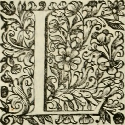 An illustration from Dell'idea della architettura universale, 1714, leaf 569