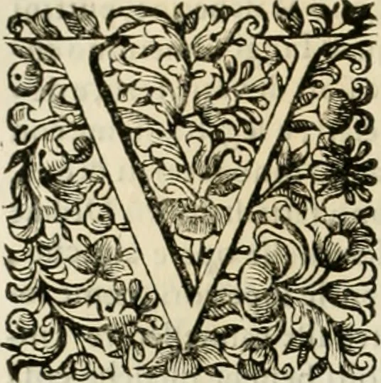 An illustration from Dell'idea della architettura universale, 1714, leaf 573