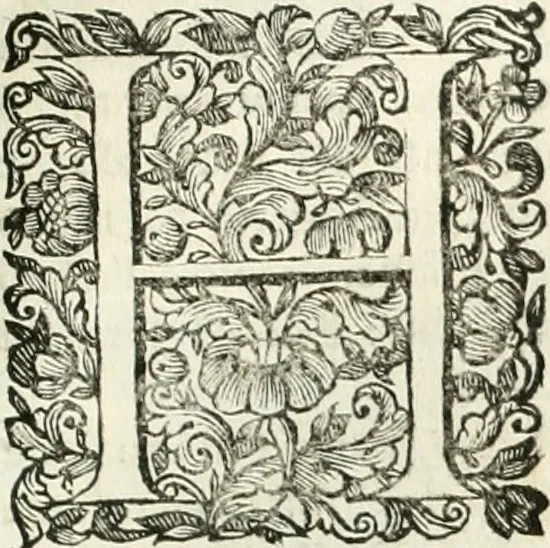 An illustration from Dell'idea della architettura universale, 1714, leaf 576