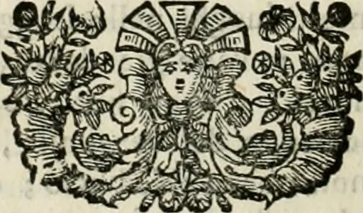 An illustration from Dell'idea della architettura universale, 1714, leaf 581