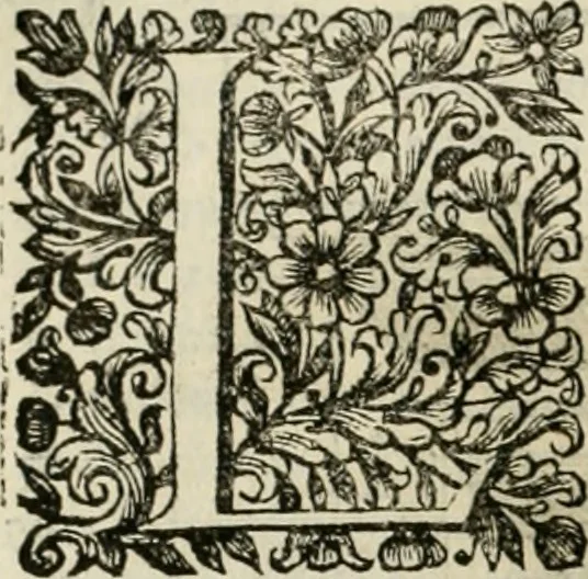 An illustration from Dell'idea della architettura universale, 1714, leaf 587
