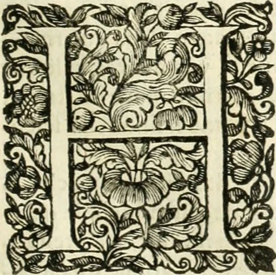 An illustration from Dell'idea della architettura universale, 1714, leaf 596