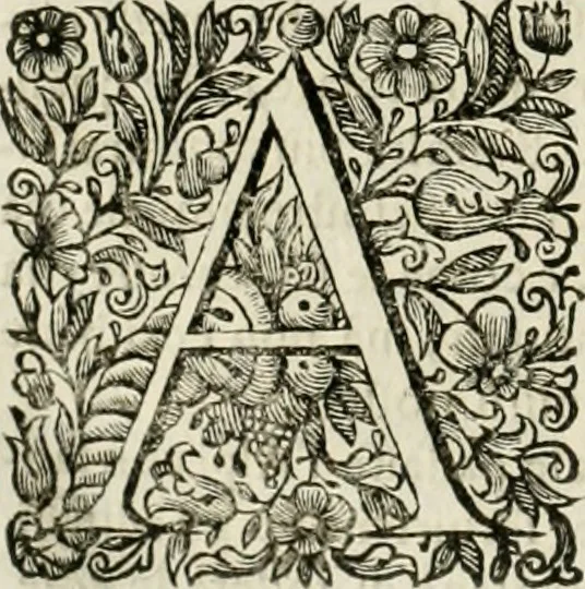 An illustration from Dell'idea della architettura universale, 1714, leaf 599