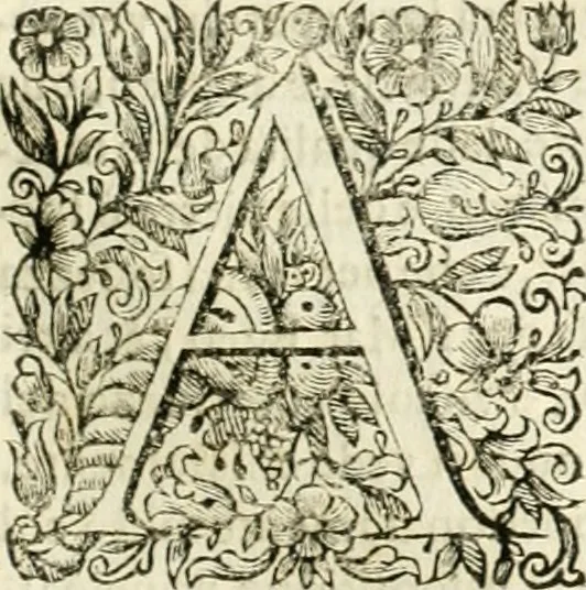 An illustration from Dell'idea della architettura universale, 1714, leaf 602