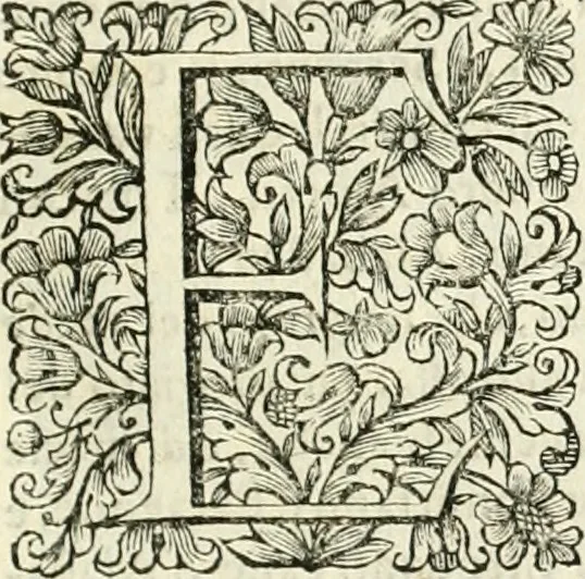 An illustration from Dell'idea della architettura universale, 1714, leaf 610