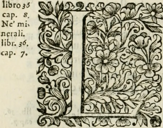 An illustration from Dell'idea della architettura universale, 1714, leaf 615