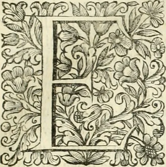 An illustration from Dell'idea della architettura universale, 1714, leaf 62