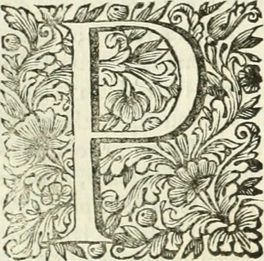 An illustration from Dell'idea della architettura universale, 1714, leaf 620