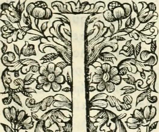 An illustration from Dell'idea della architettura universale, 1714, leaf 624