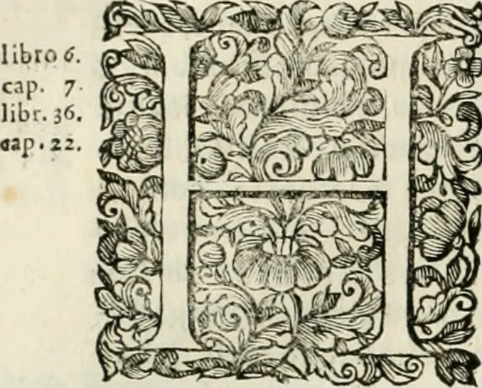 An illustration from Dell'idea della architettura universale, 1714, leaf 629