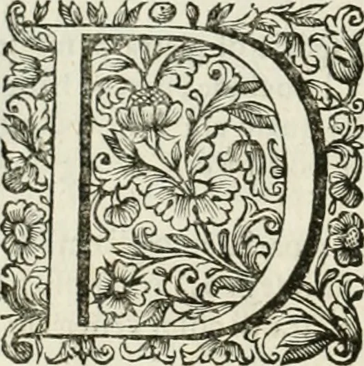 An illustration from Dell'idea della architettura universale, 1714, leaf 631