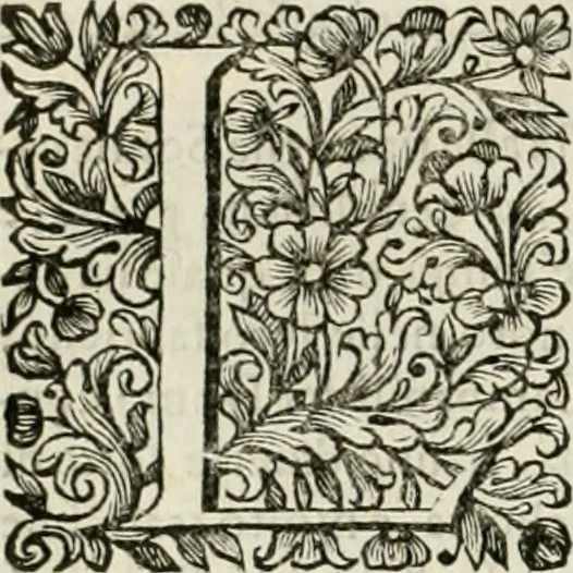 An illustration from Dell'idea della architettura universale, 1714, leaf 635