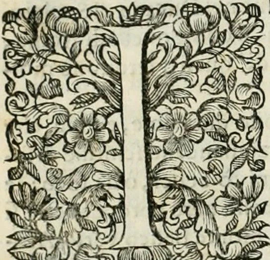 An illustration from Dell'idea della architettura universale, 1714, leaf 637