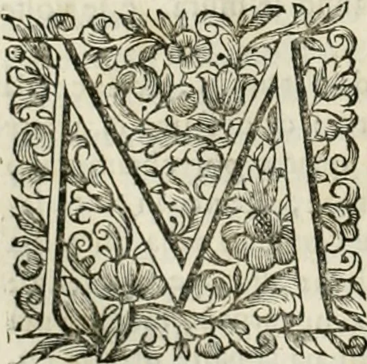 An illustration from Dell'idea della architettura universale, 1714, leaf 639