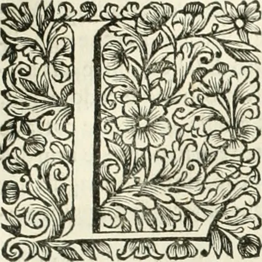 An illustration from Dell'idea della architettura universale, 1714, leaf 642