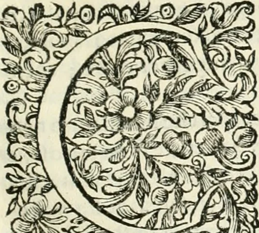 An illustration from Dell'idea della architettura universale, 1714, leaf 644
