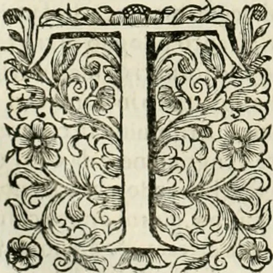 An illustration from Dell'idea della architettura universale, 1714, leaf 653