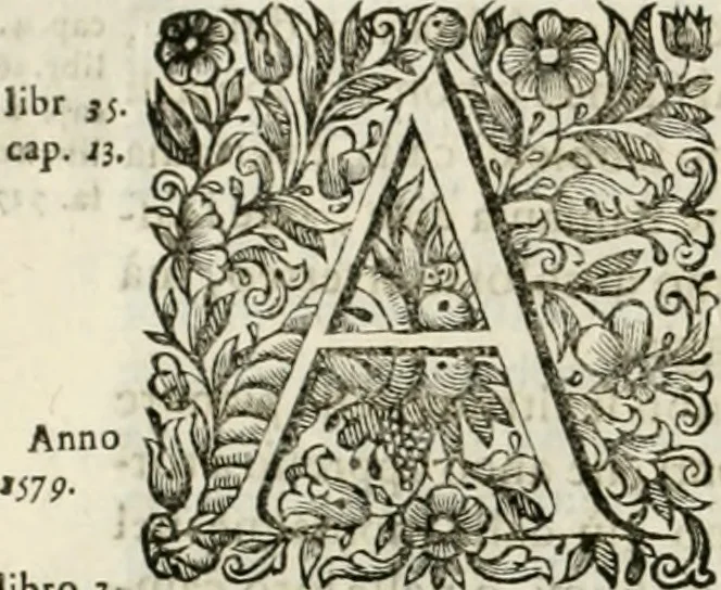 An illustration from Dell'idea della architettura universale, 1714, leaf 659