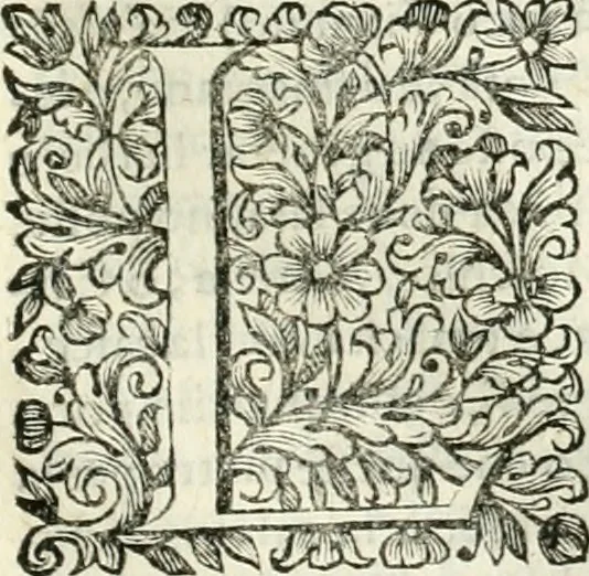An illustration from Dell'idea della architettura universale, 1714, leaf 660