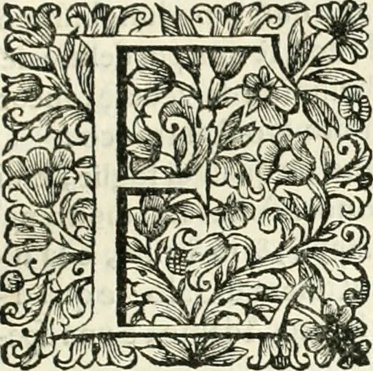 An illustration from Dell'idea della architettura universale, 1714, leaf 672
