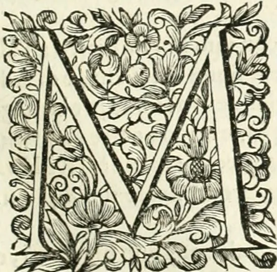 An illustration from Dell'idea della architettura universale, 1714, leaf 676