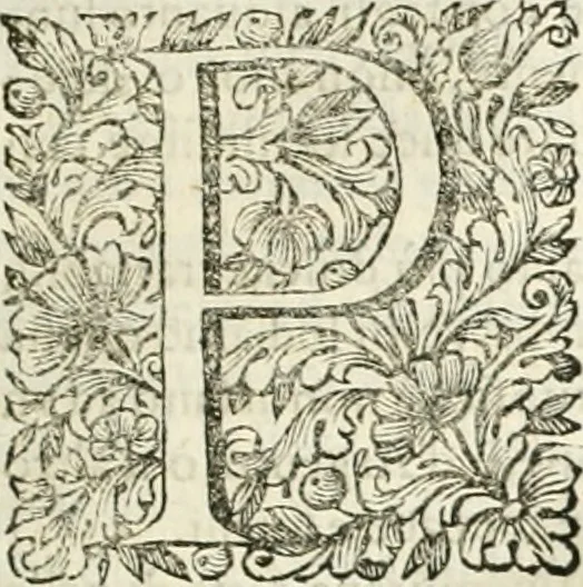 An illustration from Dell'idea della architettura universale, 1714, leaf 68
