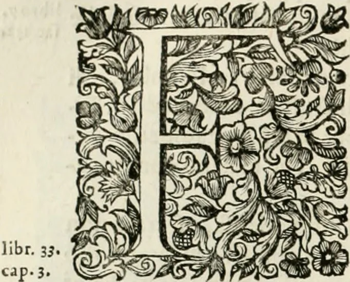 An illustration from Dell'idea della architettura universale, 1714, leaf 683