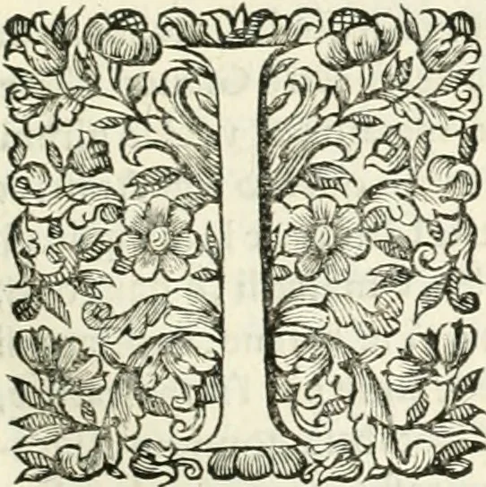 An illustration from Dell'idea della architettura universale, 1714, leaf 688