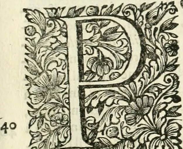 An illustration from Dell'idea della architettura universale, 1714, leaf 692