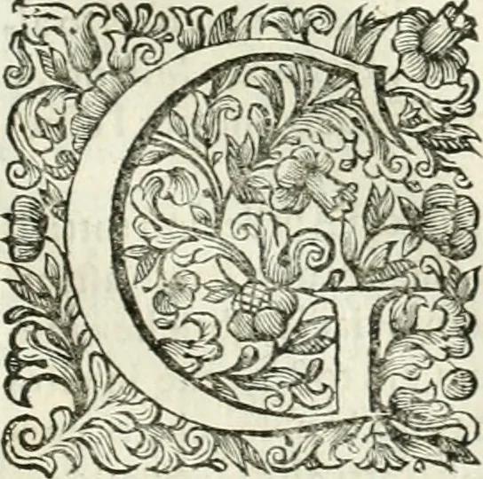 An illustration from Dell'idea della architettura universale, 1714, leaf 698