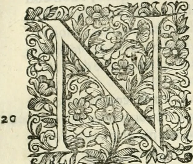 An illustration from Dell'idea della architettura universale, 1714, leaf 704
