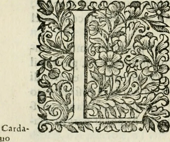 An illustration from Dell'idea della architettura universale, 1714, leaf 707