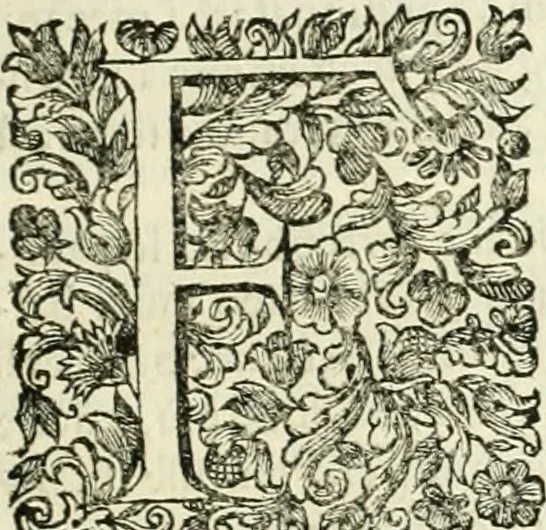 An illustration from Dell'idea della architettura universale, 1714, leaf 710