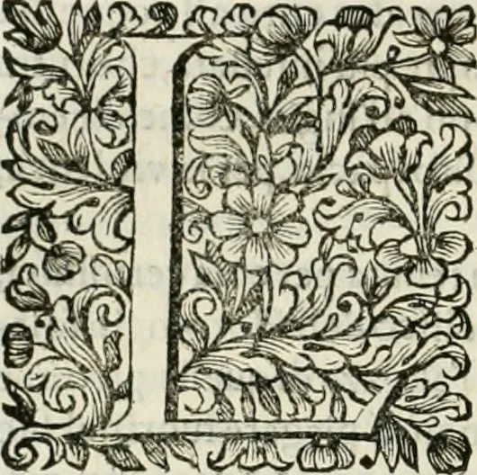 An illustration from Dell'idea della architettura universale, 1714, leaf 717