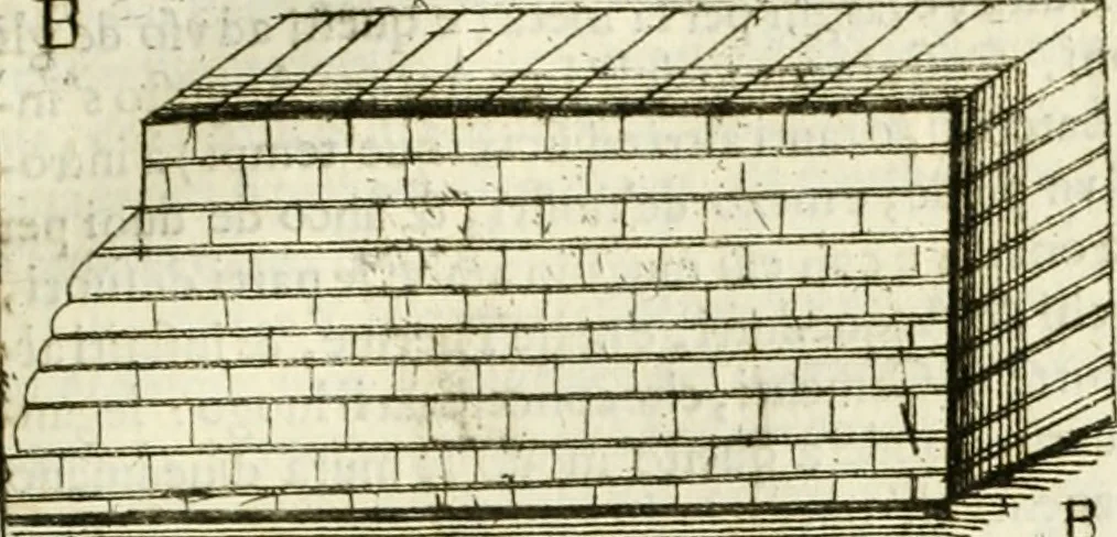 An illustration from Dell'idea della architettura universale, 1714, leaf 720
