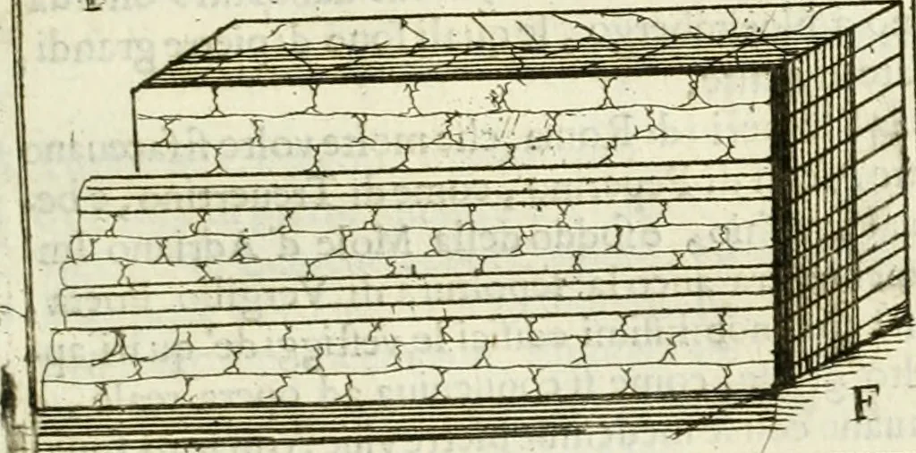 An illustration from Dell'idea della architettura universale, 1714, leaf 720