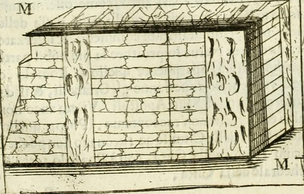 An illustration from Dell'idea della architettura universale, 1714, leaf 720