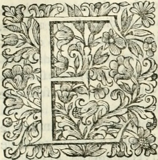 An illustration from Dell'idea della architettura universale, 1714, leaf 724